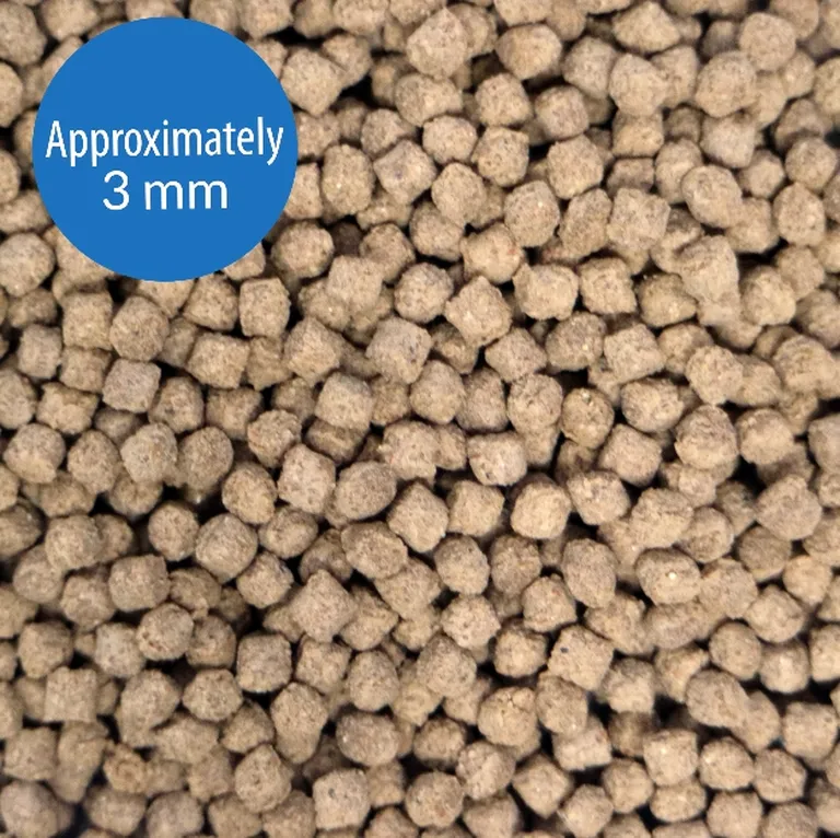 API Bottom Feeder Premium Shrimp Pellet Food Photo 5