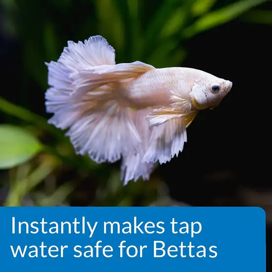 API Splendid Betta Complete Water Conditioner Photo 5