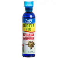 Photo of API Turtle Fix