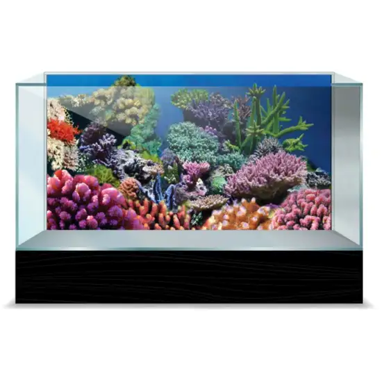 Aquatic Creations Coral Cling Aquarium Background Photo 2