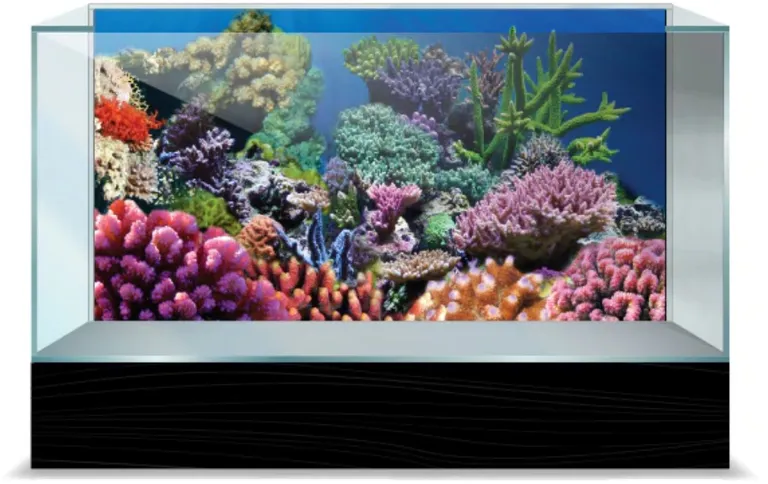 Aquatic Creations Coral Cling Aquarium Background Photo 2