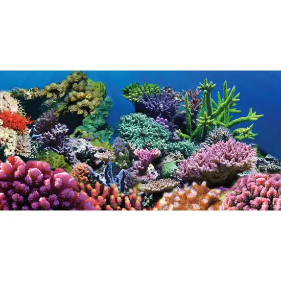 Aquatic Creations Coral Cling Aquarium Background Photo 1