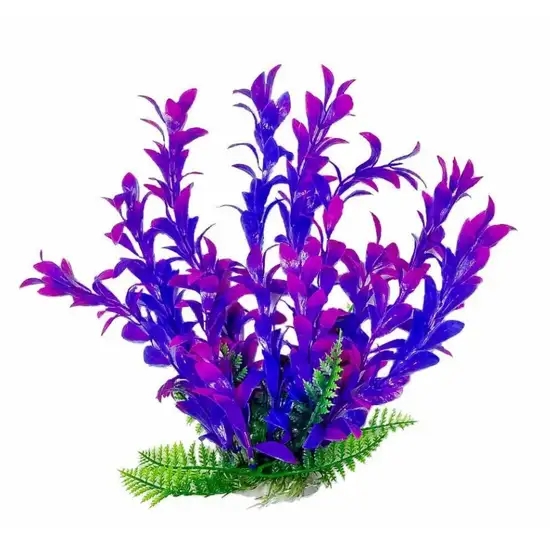 Aquatop Hygro Aquarium Plant - Pink & Purple Photo 2