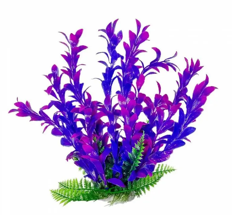 Aquatop Hygro Aquarium Plant - Pink & Purple Photo 2