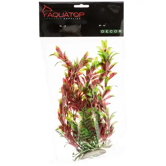 Aquatop Hygro Aquarium Plant - Red & Green Photo 1