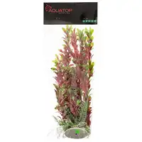 Photo of Aquatop Hygro Aquarium Plant - Red & Green