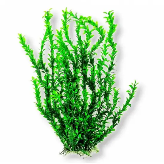 Aquatop Light Green Bushy Aquarium Plant Photo 2