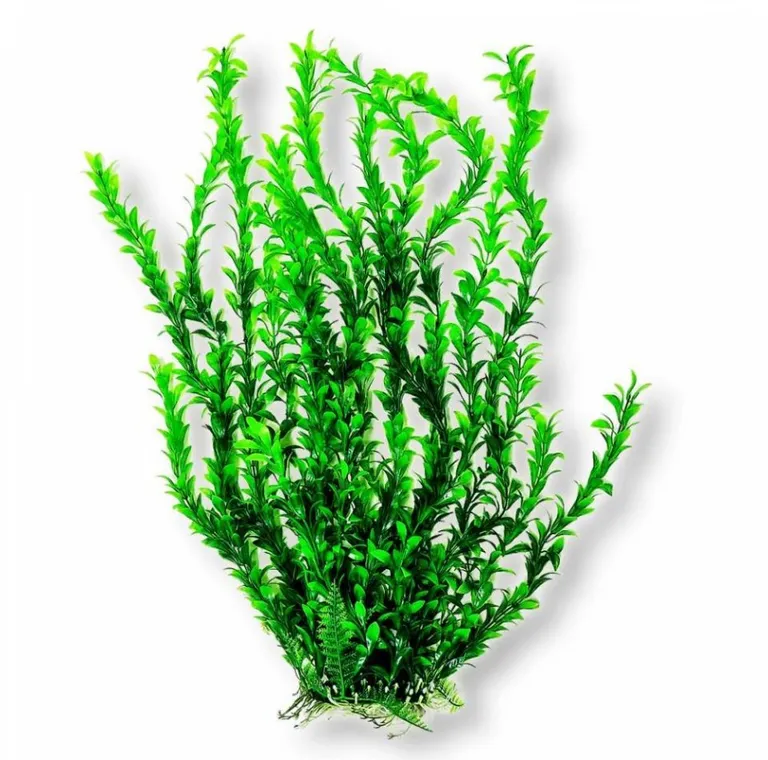 Aquatop Light Green Bushy Aquarium Plant Photo 2