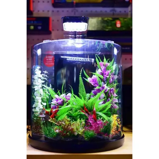 Aquatop Pisces Nano Bowfront Glass Aquarium Photo 6