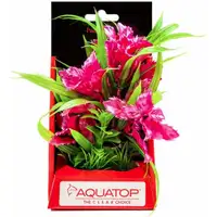 Photo of Aquatop Vibrant Passion Aquarium Plant Rose