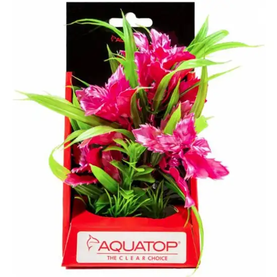 Aquatop Vibrant Passion Aquarium Plant Rose Photo 1