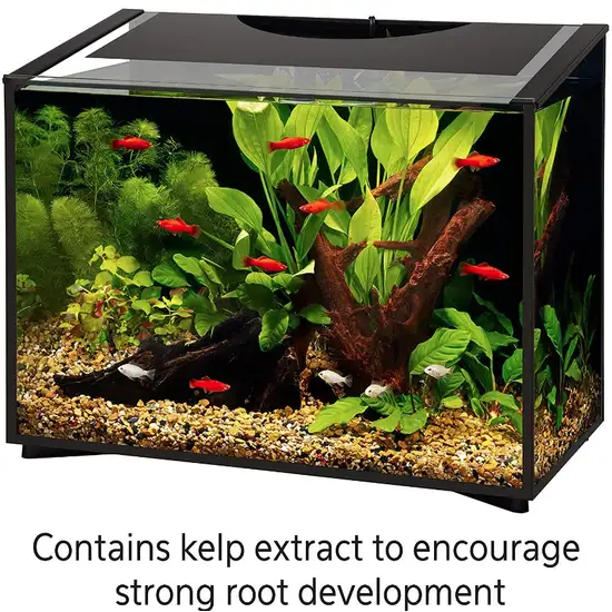 Aqueon Aquarium Plant Food Provides Macro and Micro Nutrients Photo 4