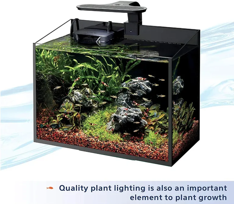 Aqueon Aquarium Plant Food Provides Macro and Micro Nutrients Photo 2