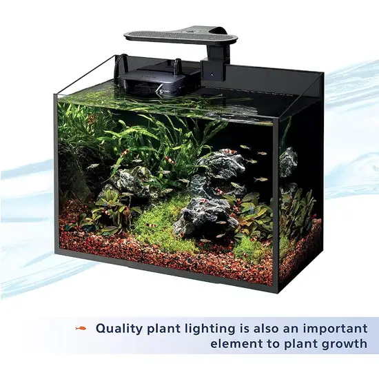 Aqueon Aquarium Plant Food Provides Macro and Micro Nutrients Photo 6