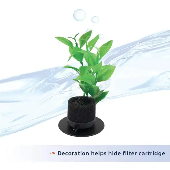 Aqueon Betta Filter with Natural Plant Photo 4