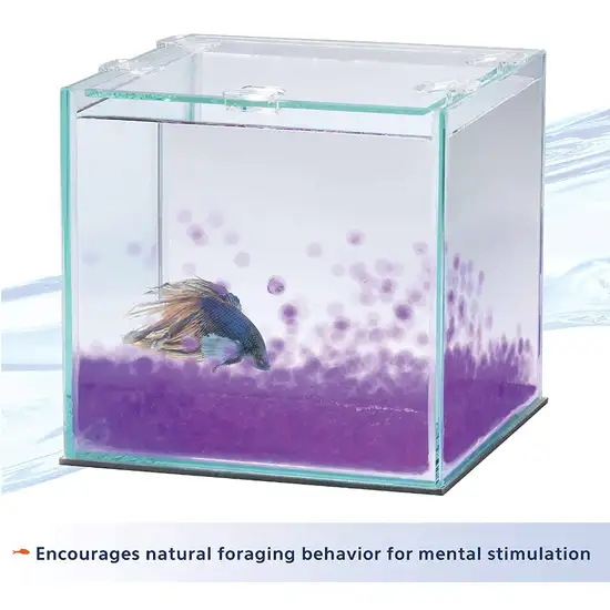 Aqueon Pure Betta Beads Purple Photo 5