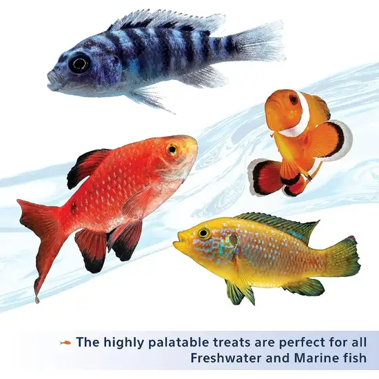 Aqueon Stick'ems Freeze Dried Picky Eater Treat for Fish Photo 4