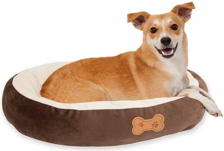 Aspen Pet Oval Nesting Pet Bed - Brown Photo 1