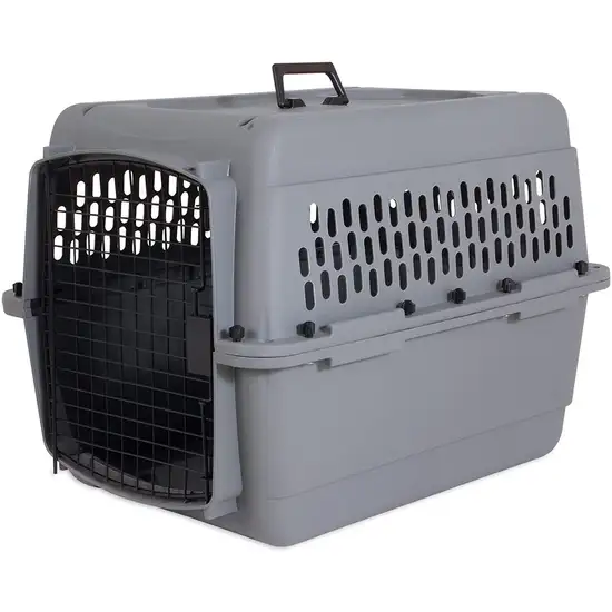 Aspen Pet Traditional Pet Kennel - Gray Photo 1