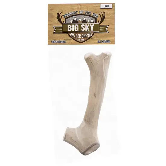 Big Sky Antler Chew for Dogs Photo 1