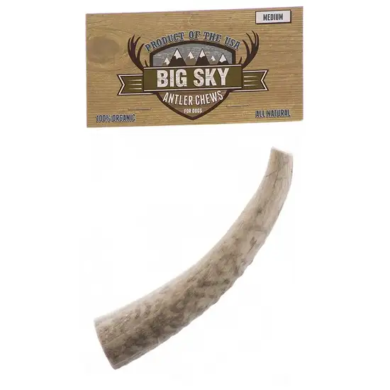 Big Sky Antler Chew for Dogs Photo 1