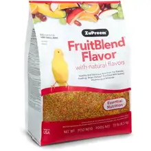 Bird Canary Food