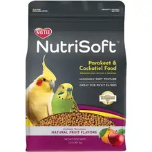 Bird Cockatiel Food