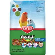 Bird Parakeet Food
