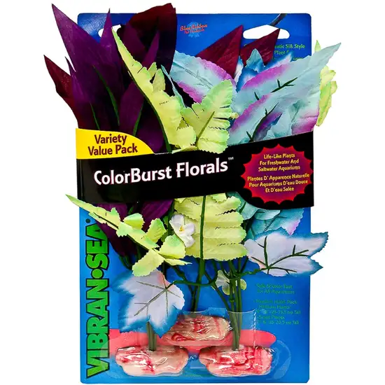 Blue Ribbon Vibran-Sea Color Burst Florals Variety Pack Photo 1