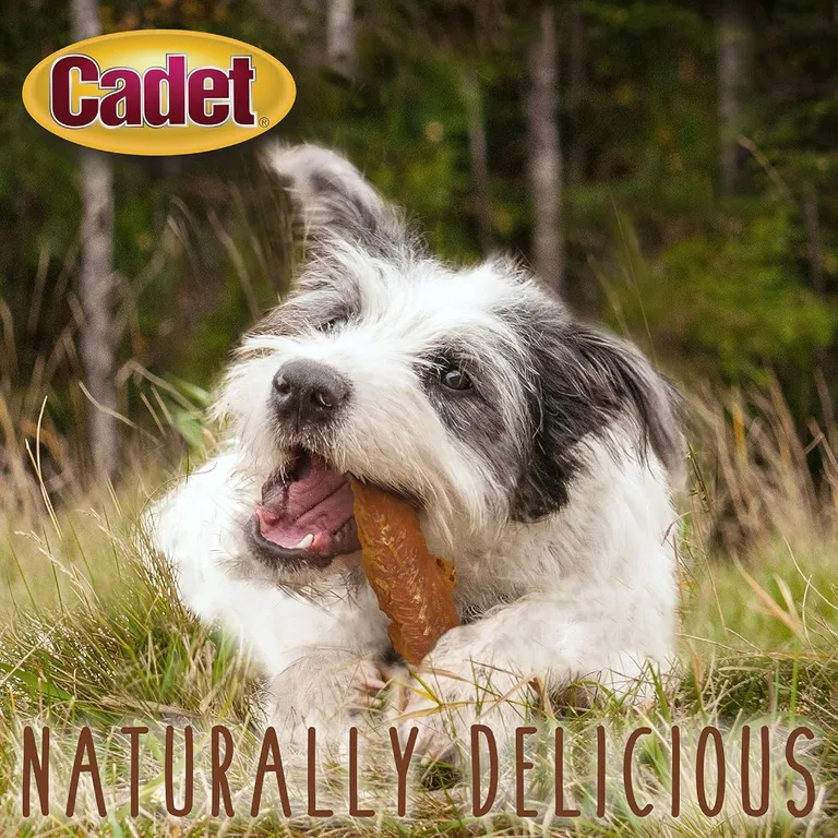 Cadet Gourmet Chicken Breast Treats for Dogs Photo 5