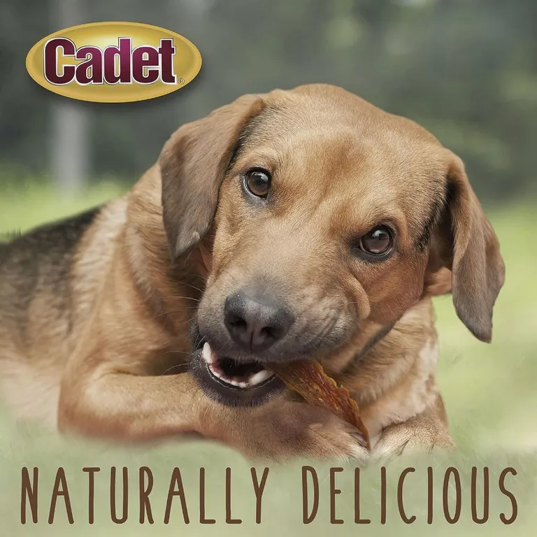 Cadet Gourmet Duck Breast Treats for Dogs Photo 5