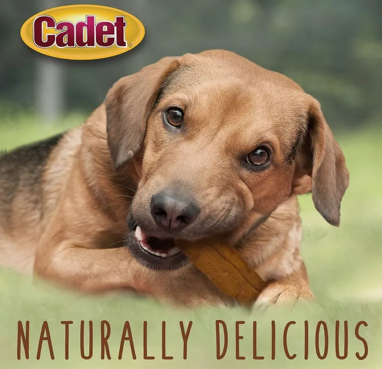 Cadet Premium Grade Beef Hide Chew Curls Peanut Butter Flavor Photo 4