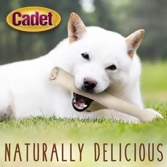 Cadet Premium Grade Beef Hide Retriever Rolls Photo 5