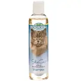 Cat Shampoo and Cologne Photo