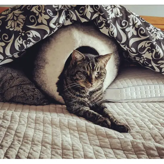 Charcoal and White Cat Cave Bed Photo 1