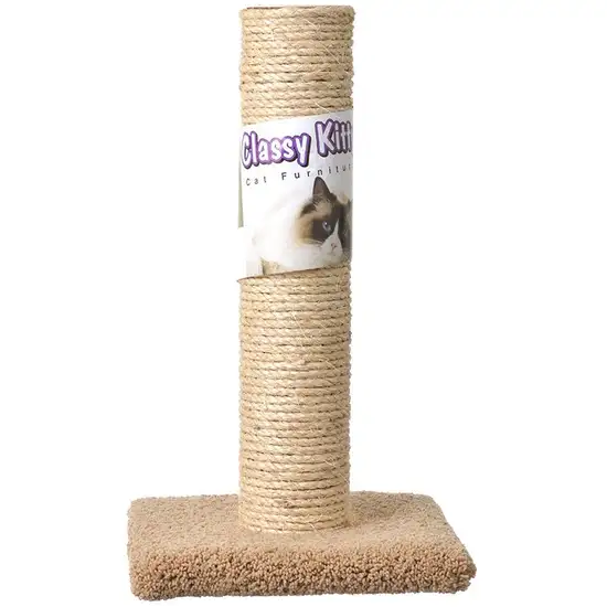 Classy Kitty Cat Sisal Scratching Post Photo 1