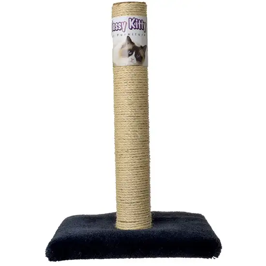 Classy Kitty Cat Sisal Scratching Post Photo 1