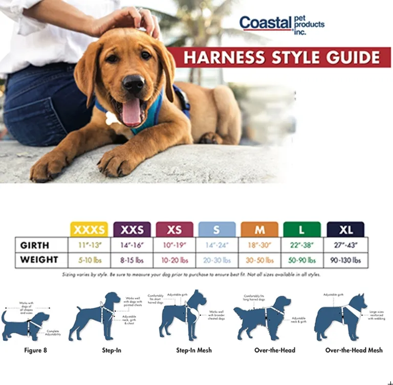 Coastal Pet Accent Microfiber Dog Harness Boho Blue with Polka Dot Bow Photo 3