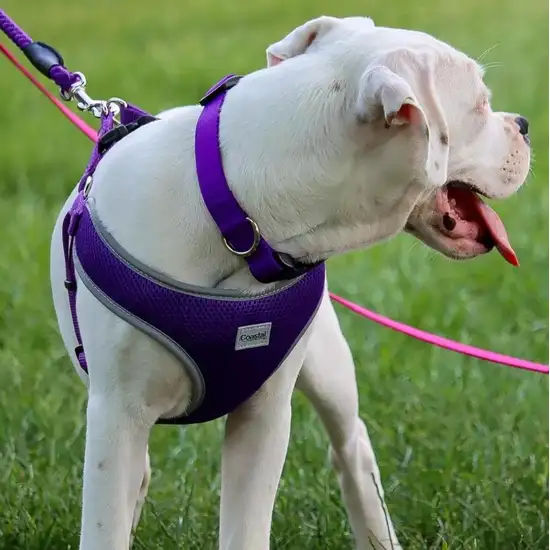 Coastal Pet Comfort Soft Reflective Wrap Adjustable Dog Harness Blue Lagoon Photo 7