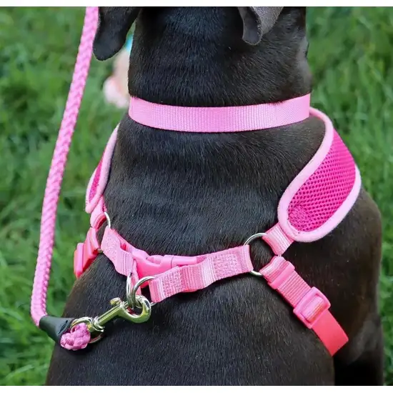 Coastal Pet Comfort Soft Wrap Adjustable Dog Harness Orchid Photo 3