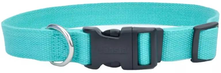 Coastal Pet New Earth Soy Adjustable Dog Collar Mint Photo 1