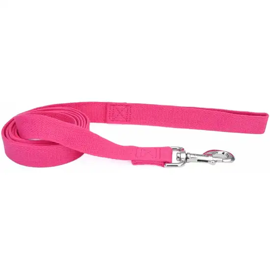 Coastal Pet New Earth Soy Dog Lead Fuchsia Photo 1