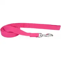 Photo of Coastal Pet New Earth Soy Dog Lead Fuchsia