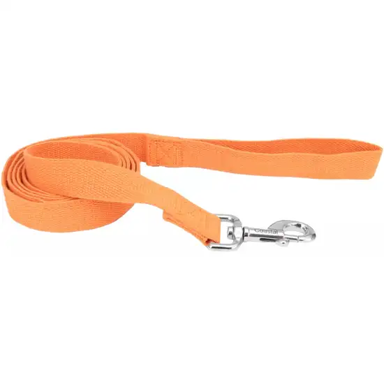 Coastal Pet New Earth Soy Dog Lead Pumpkin Orange Photo 1