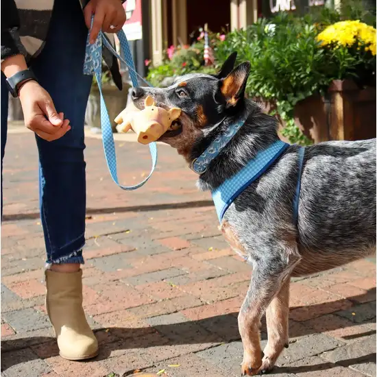 Coastal Pet Rascals Big Ear Donkey Grunt Toy Photo 8