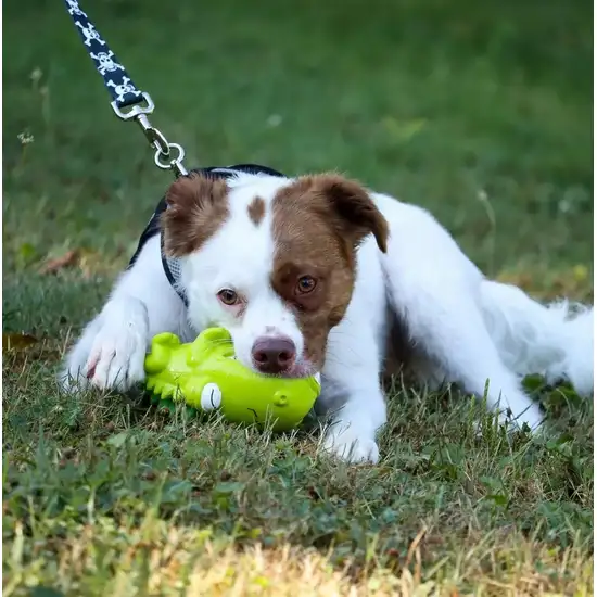 Coastal Pet Rascals Big Ear Donkey Grunt Toy Photo 5