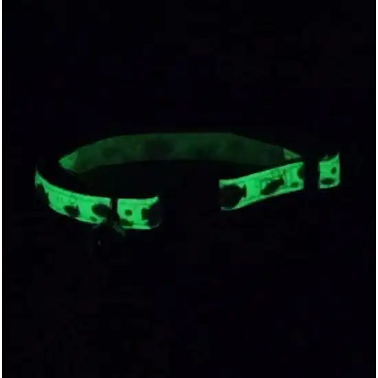 Coastal Pet Safe Cat Glow in the Dark Adjustable Breakaway Collar Lime Skulls Photo 2