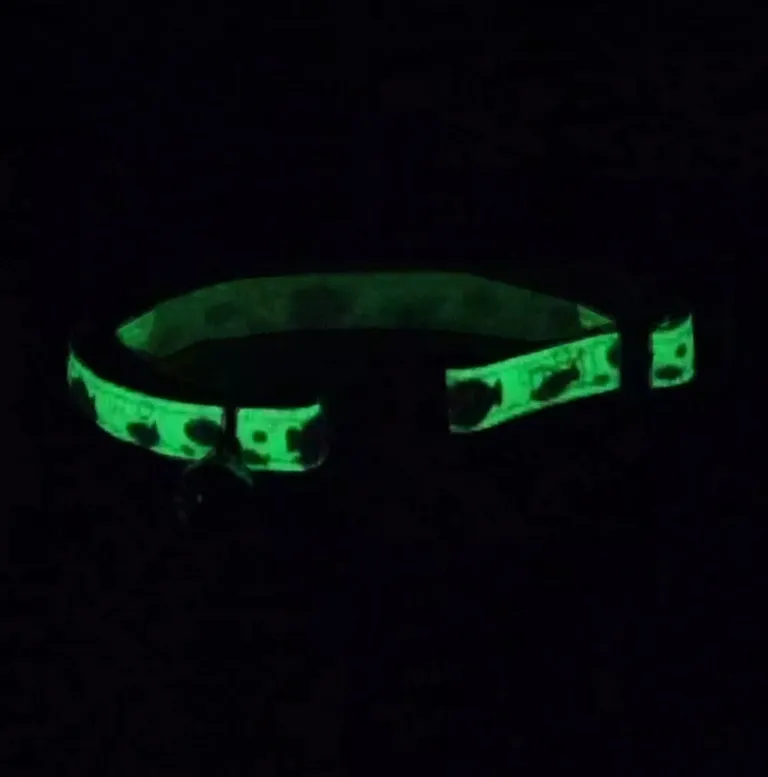 Coastal Pet Safe Cat Glow in the Dark Adjustable Breakaway Collar Lime Skulls Photo 2