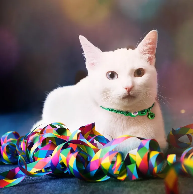 Coastal Pet Safe Cat Jeweled Buckle Adjustable Breakaway Collar Pink Glitter Photo 4
