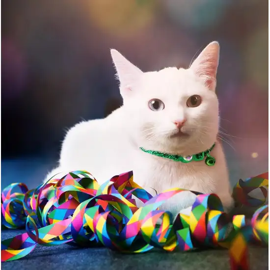 Coastal Pet Safe Cat Jeweled Buckle Adjustable Breakaway Collar Pink Glitter Photo 5